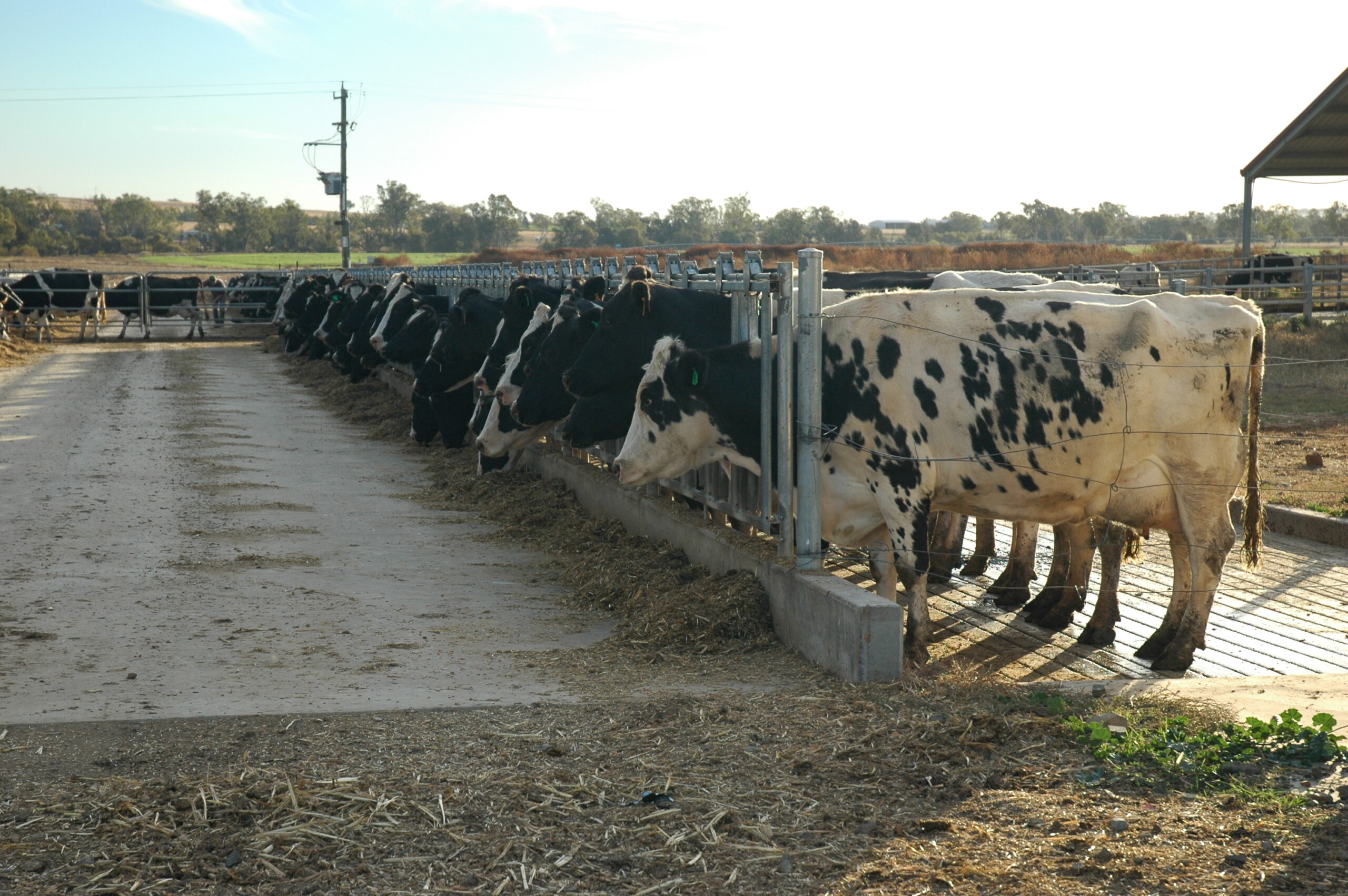 Safety Audits & Reviews